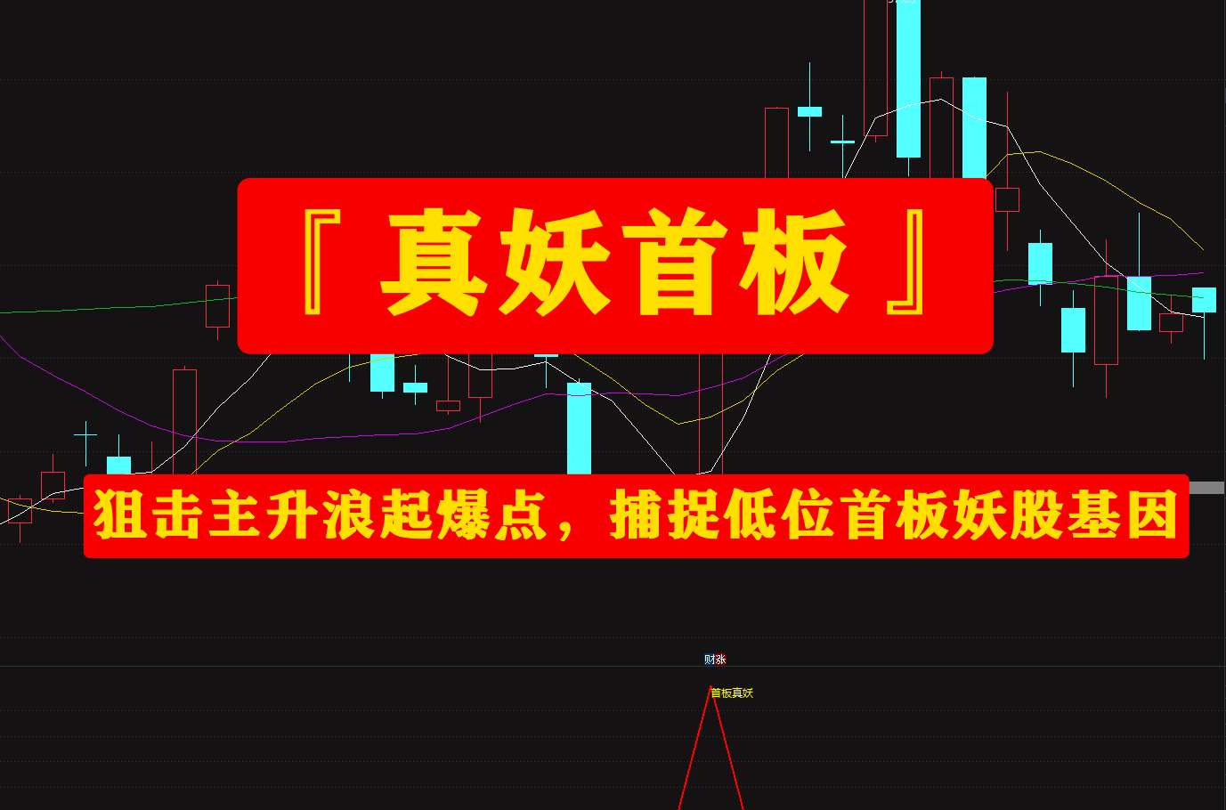 打板指标『真妖首板』指标套装,狙击主升浪起爆点,捕捉低位首板妖股基因
